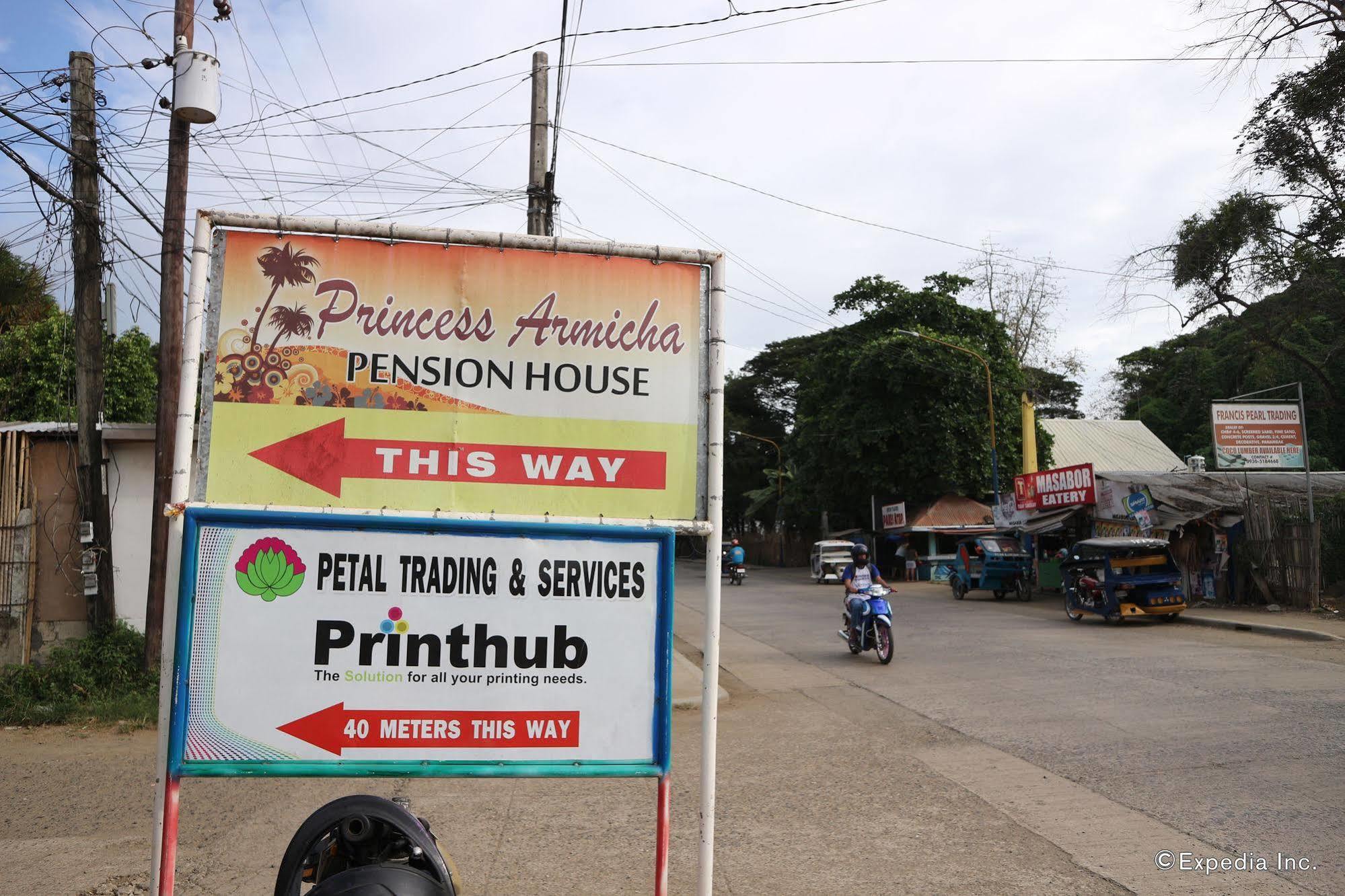 Princess Armicha Tourist Inn Puerto Princesa Exterior photo